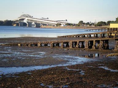  Harbour bridge view from Herne Bay. Comment - Will it be replaced by a new bridge or a tunnel in the new Supercity future? SH 1 North Shore to CBD needs a plan.